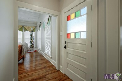 40315 Black Bayou Extension, Gonzales, LA 70737 - photo 3