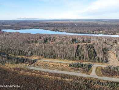 Skyview Airpark Gus Landing AA33