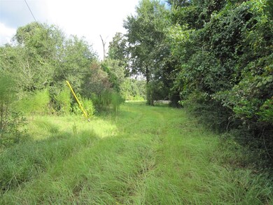 22907 Edward Ln, Tomball, TX 77377 - photo 4