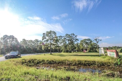 21051 Carter Rd, Estero, FL 33928 - photo 7