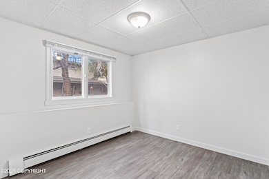 photos_high_resolution_16_5310_Lionheart