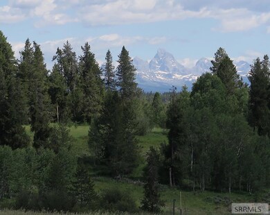 Peekaboo teton view from lot!!!!!