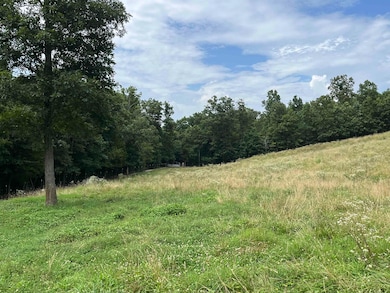 385 Walnut Grove Cir, Mammoth Spring, AR 72554 - photo 3