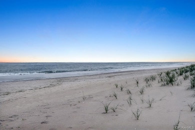 281 Dune Rd unit 2A, Westhampton Beach, NY 11978 - photo 4