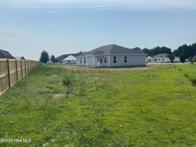 3052 Condor Ct, Deep Run, NC 28525 - photo 7