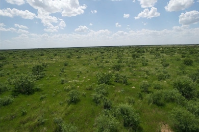 Tract 12 TBD Cr 483, Hawley, TX 79525 - photo 4