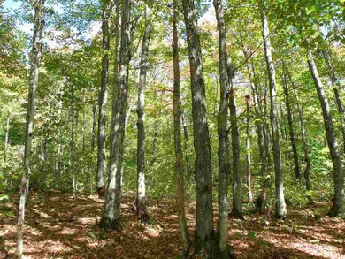 Solid timber investment with good asset appreciati