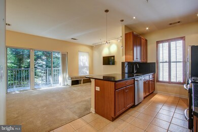 8045 Newell St unit 101, Silver Spring, MD 20910 - photo 7
