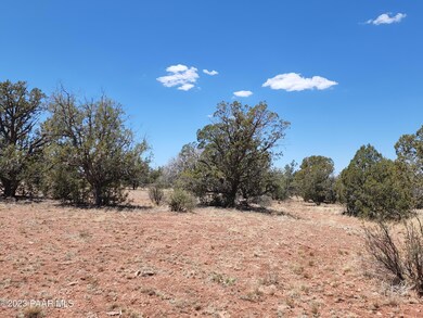 Lot 55 Juniperwood Ranch, Ash Fork, AZ 86320 - photo 2