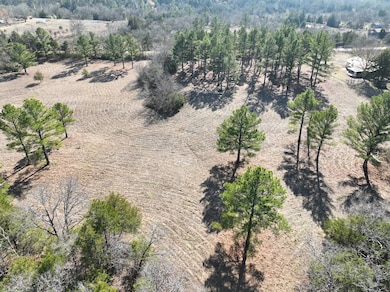 0000 E Greasy Bend Rd, Stringtown, OK 74569 - photo 3