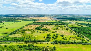 3504 Temple Hall Hwy, Granbury, TX 76049 - photo 3