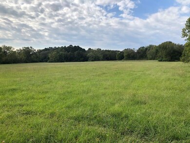 81.15 ac U S 59, Nacogdoches, TX 75965 - photo 6