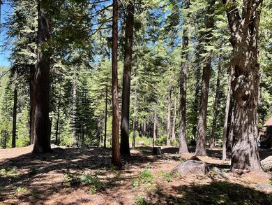 1619 Shoshone Dr, Dorrington, CA 95223 - photo 4