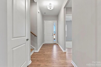 REPRESENTATIVE PHOTO