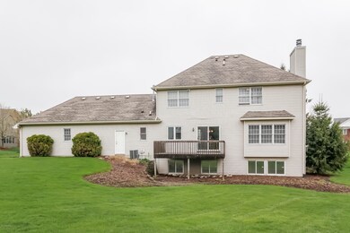 032-Rear_View-2663424-large