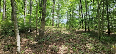 0 Yellow Cliff Rd unit 237124, Jamestown, TN 38556 - photo 5