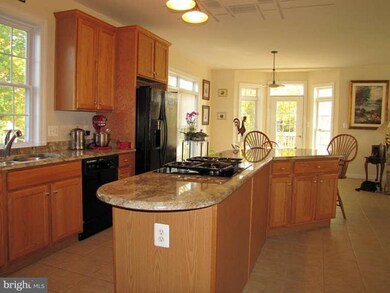 913 Lincoln Ave, Falls Church, VA 22046 - photo 3