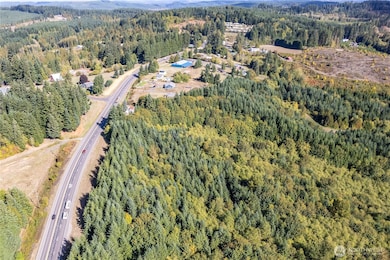 0 Lots 1-7 Spirit Lake Hwy, Castle Rock, WA 98611 - photo 5