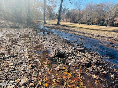 Lot 171 Indian Park 4