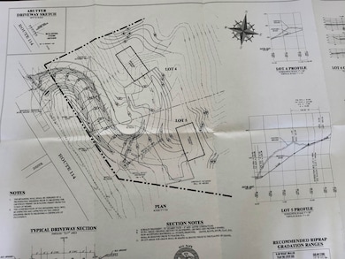Proposed shared driveway