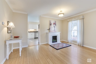 1146 Wintergreen Terrace, Batavia, IL 60510 - photo 4