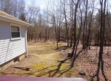 3118 Chippewa Trail, Albrightsville, PA 18210 - photo 6