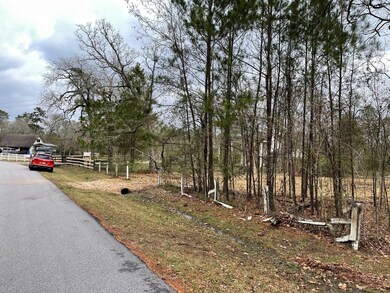 26410 Big Oak Ln, Magnolia, TX 77354 - photo 3