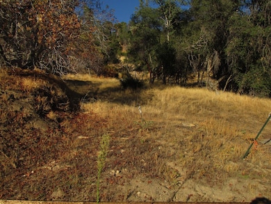 Potential access to property; property lies to left of markers, which indicate *approximate* property line.