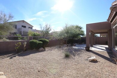 Backyard3
