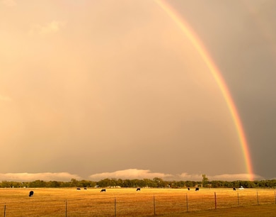 0 New Windsor Pkwy unit 25551308, McGregor, TX 76657 - photo 6