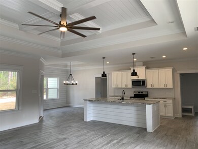 166 Aaron Strickland Rd, Crawfordville, FL 32327 - photo 3