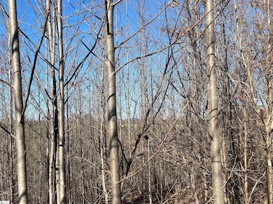 00 Welcome Church Rd, Westminster, SC 29693 - photo 6