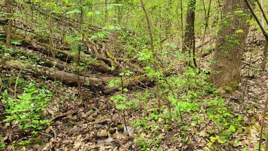 Creek at back of lot