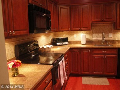 5832 Wye Oak Commons Ct unit 16, Burke, VA 22015 - photo 5