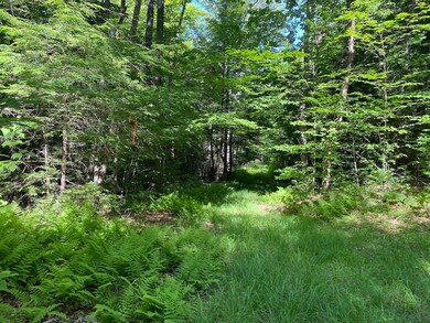 0 Old Rindge Rd unit 16-029-000 4916615, Fitzwilliam, NH 03447 - photo 5