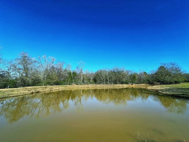 610 Fcr 301, Oakwood, TX 75855 - photo 2