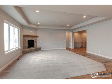 5970 Yellowtail St, Timnath, CO 80547 - photo 4