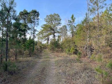 223 Kersey Rd, Adrian, GA 31002 - photo 4