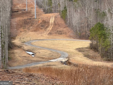 0 Benson Rd unit 10455814, Dallas, GA 30132 - photo 4