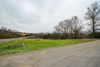 000 Shangri-La Ct, Nixa, MO 65714 - photo 4