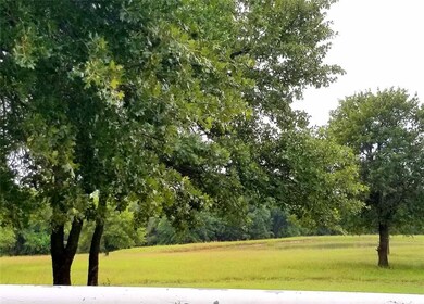 unlisted-address, Boyd, TX 76023 - photo 6