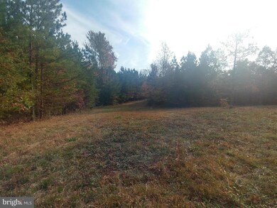 0 Carsons Corner unit 1000091757, Louisa, VA 23093 - photo 7