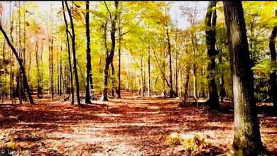 Full cleared easement from main road to homesite