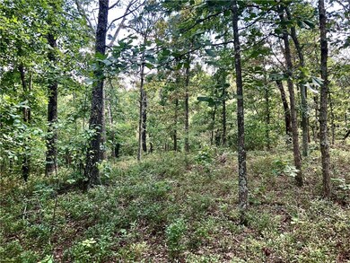 00 Cardinal Rd, Bella Vista, AR 72715 - photo 3