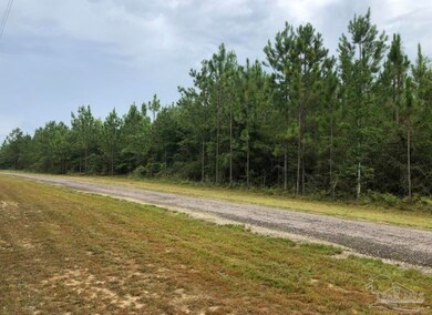 2380 Delaney Rd, Jay, FL 32565 - photo 2
