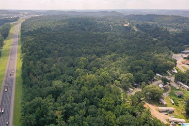 0 Simmsville Rd unit 1326397, Alabaster, AL 35007 - photo 3