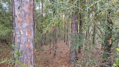 Wooded Lot 0.25 acres