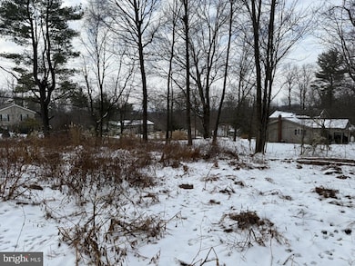 238 Mohave Dr, Auburn, PA 17922 - photo 2