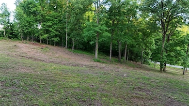 Lot 12 & 13 Cr-1216, Morgantown, KY 42261 - photo 7