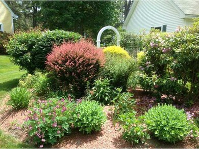 Yard/Garden.